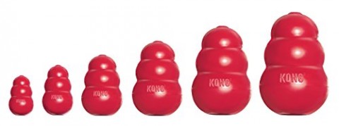 kong toy size