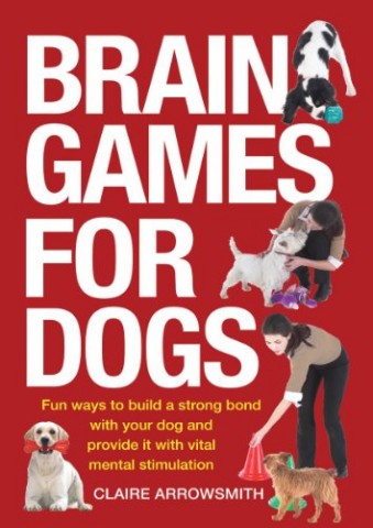 Unique Dog Gifts: Boredom-Busting Brain Games – Furtropolis