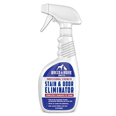 Professional Strength Stain & Odor Eliminator - Enzyme-Powered Pet Odor ...